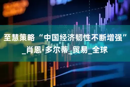 至慧策略 “中国经济韧性不断增强”_肖恩·多尔蒂_贸易_全球